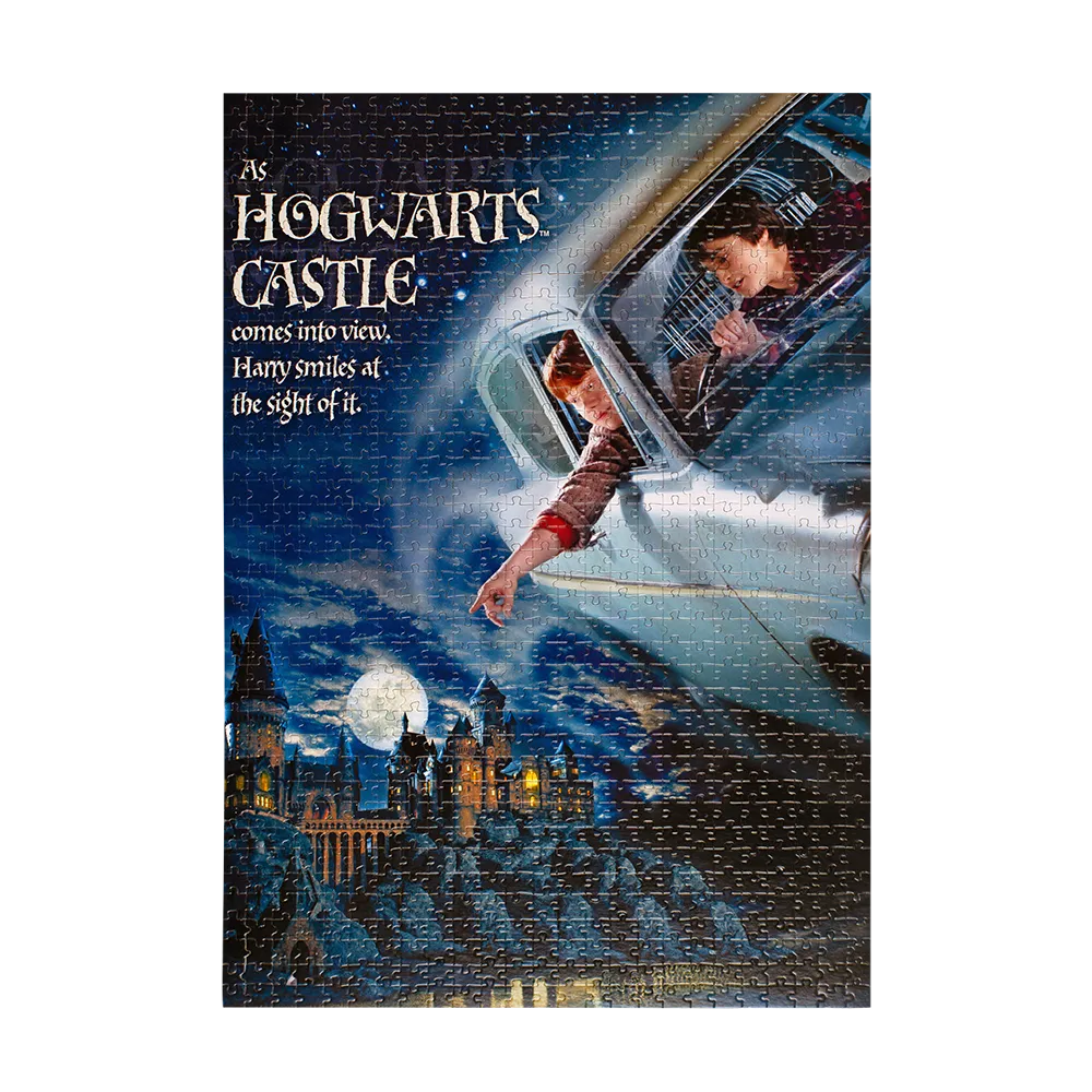 Harry Potter | Rompecabezas 1000 piezas | slide 25